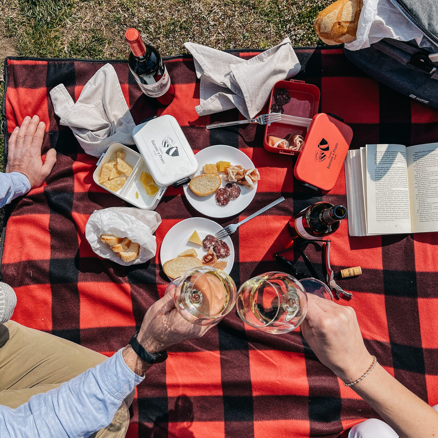 Picnic in Vigna Barone a Prato al Castello di Segonzano