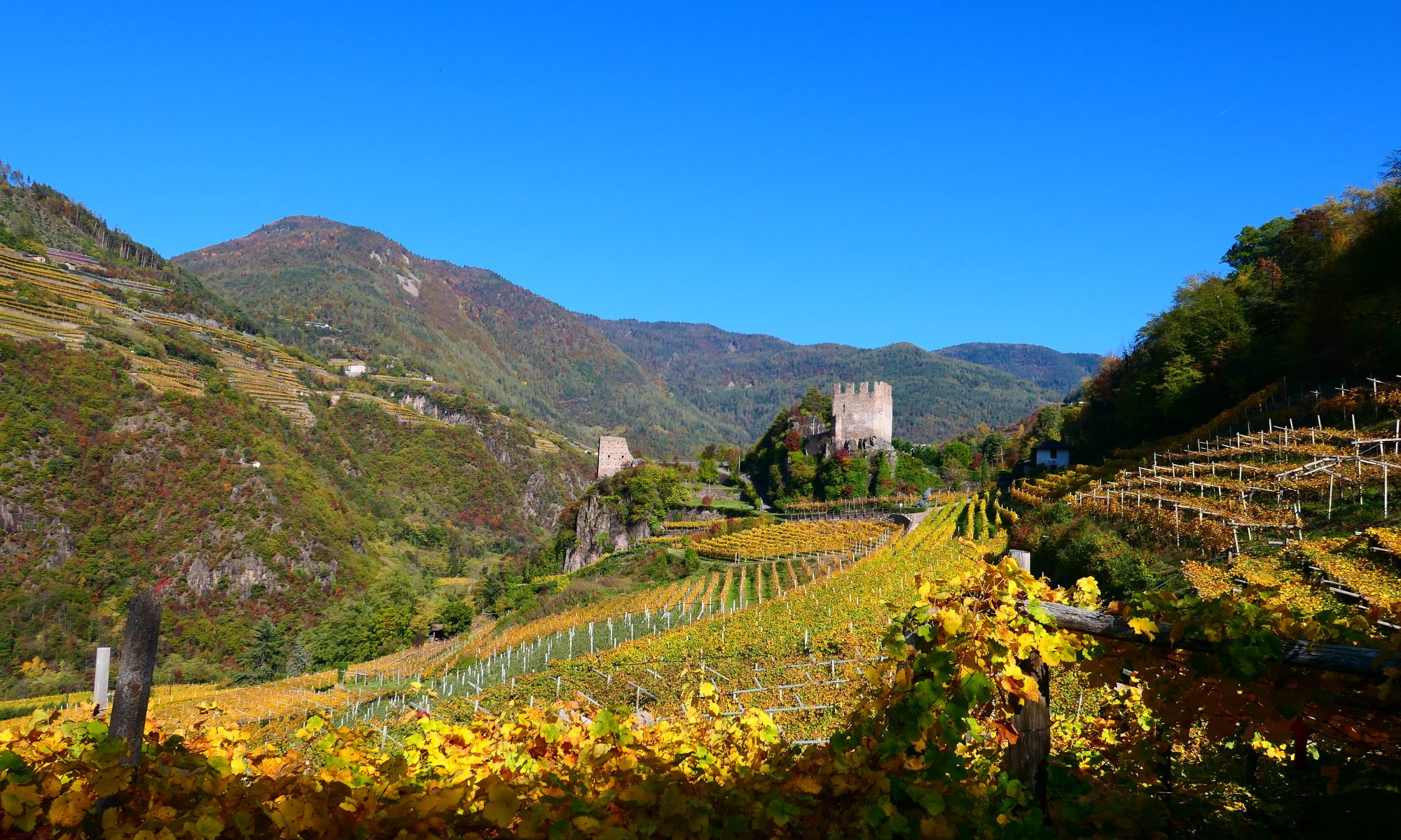 vigneti Barone a Prato e castello